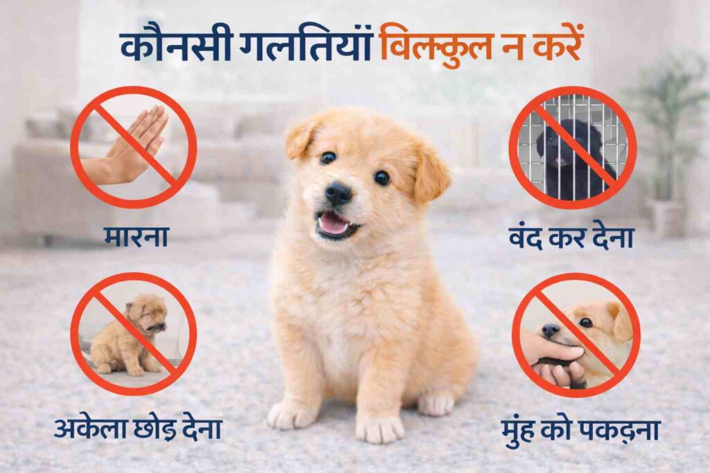 Puppy ज्यादा काटता है तो कौनसी गलतियां बिल्कुल न करें।